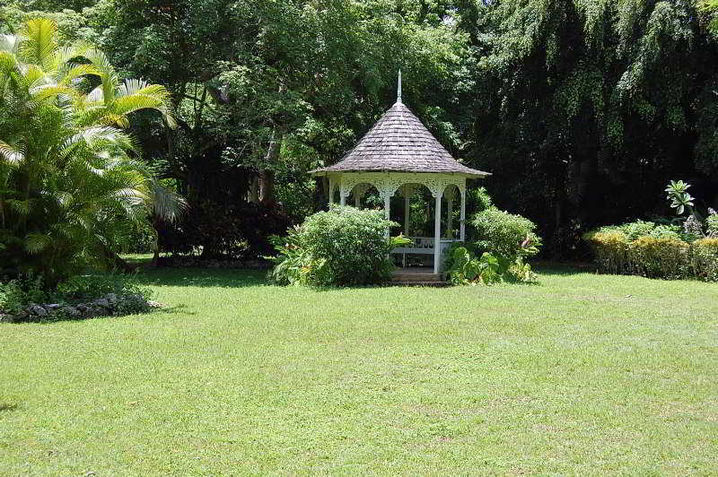 Inn At Shaw Park Gardens & Waterfalls Ocho Rios Exterior foto