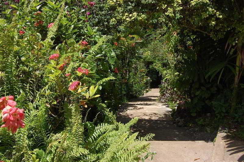 Inn At Shaw Park Gardens & Waterfalls Ocho Rios Exterior foto