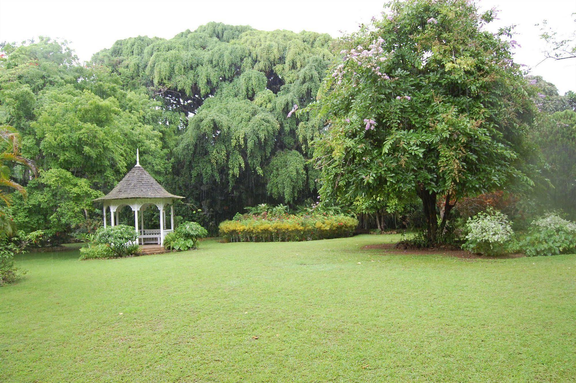 Inn At Shaw Park Gardens & Waterfalls Ocho Rios Exterior foto