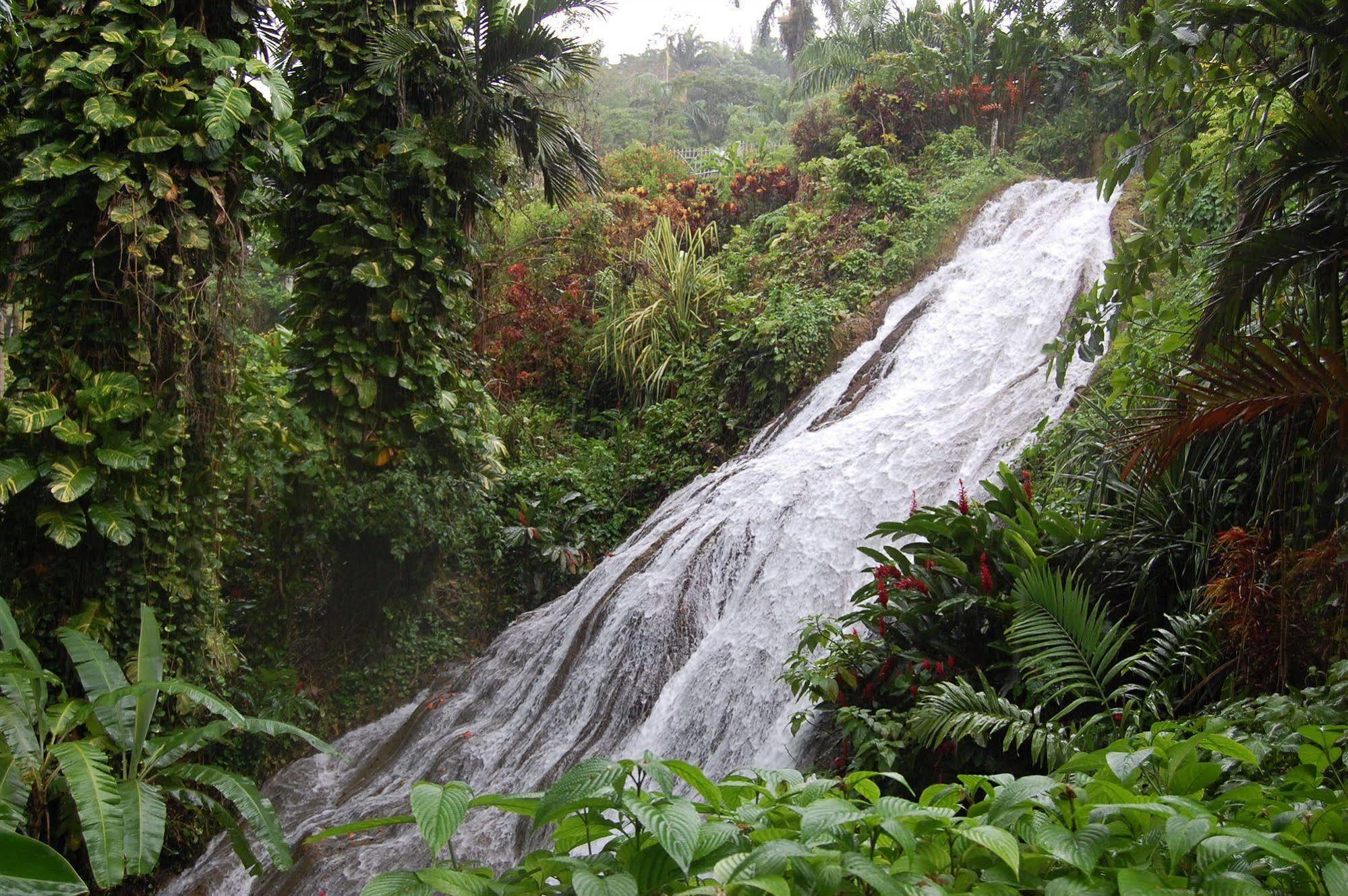 Inn At Shaw Park Gardens & Waterfalls Ocho Rios Exterior foto