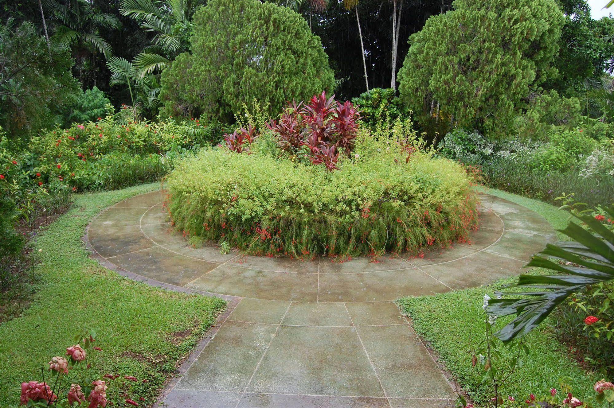 Inn At Shaw Park Gardens & Waterfalls Ocho Rios Exterior foto